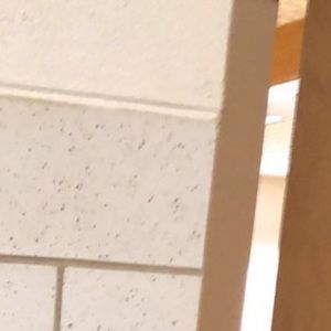 Meet your Posher, Tony